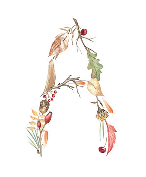 Letter A created from watercolor autumn forest elements isolated on transparent. Elegant artistic monogram for the fall season made of leaves, twigs, berries, acorns, pine needles