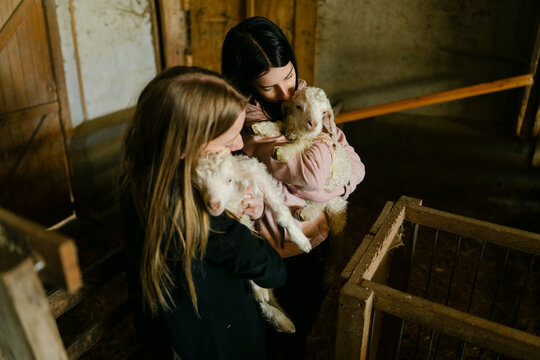 teen girls snuggling an Angora baby goat 