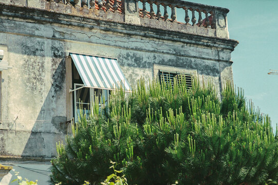 Striped Awning Facade