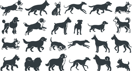 Purebred dogs vector illustration collection with corgi german shepherd poodle husky and greyhound silhouettes © MD