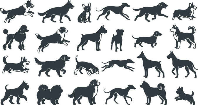 Purebred dogs vector illustration collection with corgi german shepherd poodle husky and greyhound silhouettes