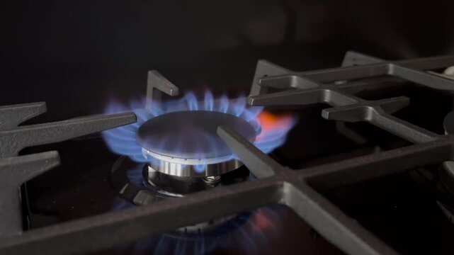 A gas burner with a blue flame on a modern kitchen stove.