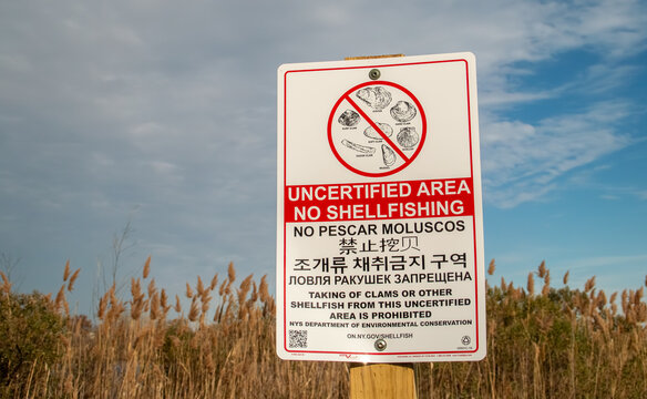 Nueva York, EEUU. 14 noviembre 2019. Cartel prohibiendo la recogida de moluscos en diversos idiomas. Indicaci&oacute;n junto a las marismas a las afueras de Brooklyn, al sur de Long Island.