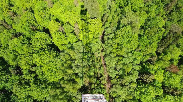 Shadow of 75m telecommunication tower cast over green forest canopy