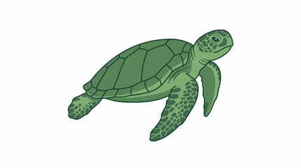 A green sea turtle swims in the ocean with flippers and shell visible. © Waskim