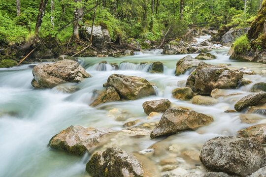Mountain stream Ramsauer Ache in the enchanted forest, Berchtesgaden National Park, Ramsau, Berchtesgadener Land, Upper Bavaria, Bavaria, Germany