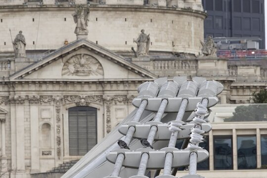 Black headed gull (Chroicocephalus ridibundus) and Feral pigeon (Columba livia domestica) adult birds on the Millenium bridge with St. Pauls cathedral in the background, City of London, England, United Kingdom