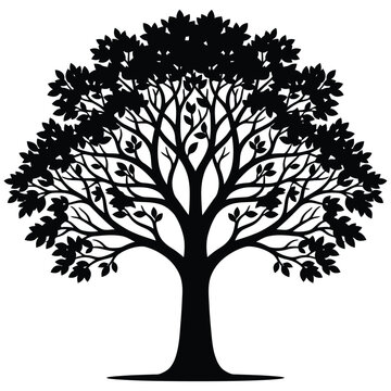 A large tree with many branches and leaves on white background