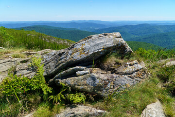 Bieszczady - połonina Wetlińska © rob