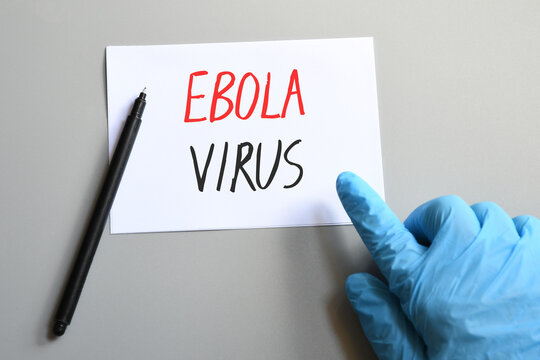 Doctor's hands in blue glove with white paper and text EBOLA Virus. Concept for Ebola Virus desease.