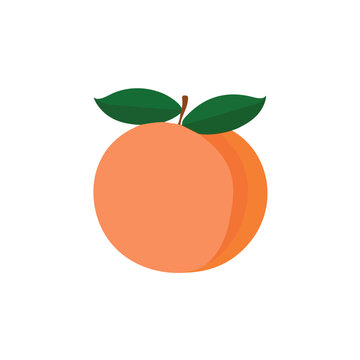Simple flat 2D illustration of Peach, modern minimalist artwork, isolated on a white background.