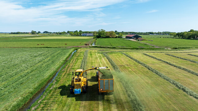 Aerial view of a yellow forage harvester loading cut grass into a trailer in a green field with farm buildings in the background in Koudum, Friesland, Netherlands.