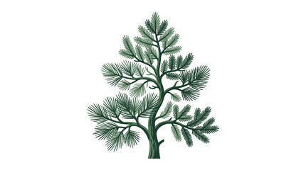 Hand Drawn Pine Tree Vector Illustration © suris