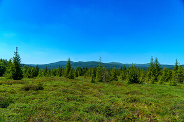 Bieszczady , widoki © rob