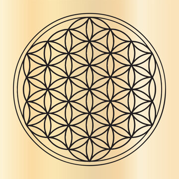 Sacred geometry flower of life symbol for spiritual and meditative practices, ancient pattern.