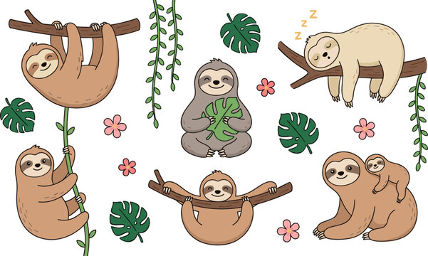 Cute cartoon sloth character vector illustration set with various funny jungle animal poses sleeping hanging climbing and tropical vine leaf elements