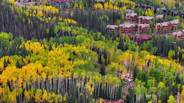Panoramic aerial view of condos and homes in ski mountain town of Telluride, Colorado landscapes with fall foliage trees during autumn season colors in San Juan Mountains - 4K Drone