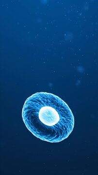 Microscopic view of single cell structure