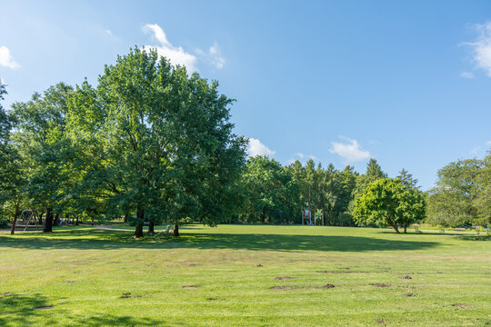 A wide grassy park opens beneath a blue sky. Mature deciduous trees provide shade across the peaceful landscape.