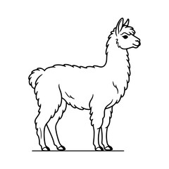 Naklejka premium Simple black and white line of a standing llama with fluffy wool and alert ears on a plain white background