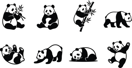 Giant panda bear vector illustration set with various cute poses, eating bamboo, sleeping, and walking © MstMahurun