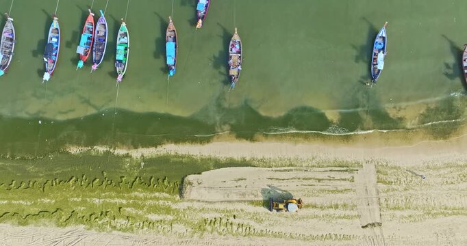  Aerial Shot of Tractor Cleaning Algae on Patong Beach
Green Algae Bloom Along Sandy Shore of Patong Beach
Aerial Scene of Beach Restoration Work in Patong
moss on Patong Beach.