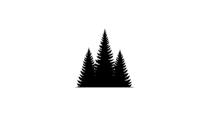 Coniferous Tree Group Silhouette Against White Background © Alom