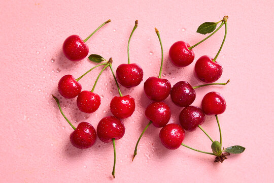Fresh sweet cherries with water droplets on a pink background.
