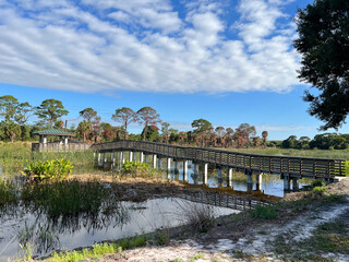Fototapeta premium Bridge in the Natural Reserve