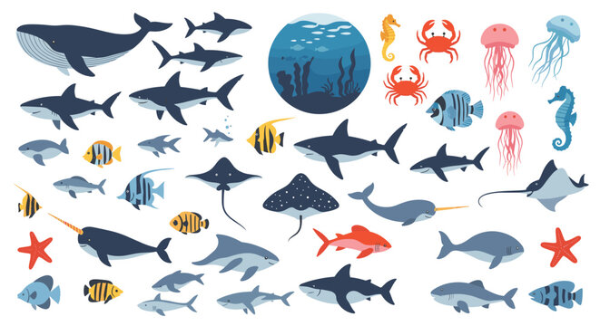 Vast collection of sea creatures including whales sharks rays jellyfish and fish for marine life education.