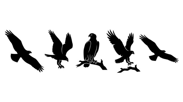Osprey Silhouette Collection Set with Eagle Flying and Perching Figures