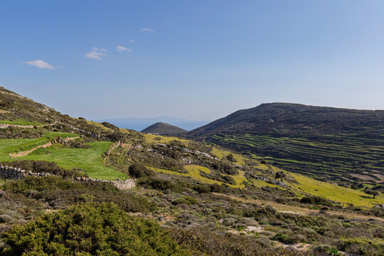 Lush pasture in the mountainous central part of Paros island in Greece on a sunny day. Copy space.