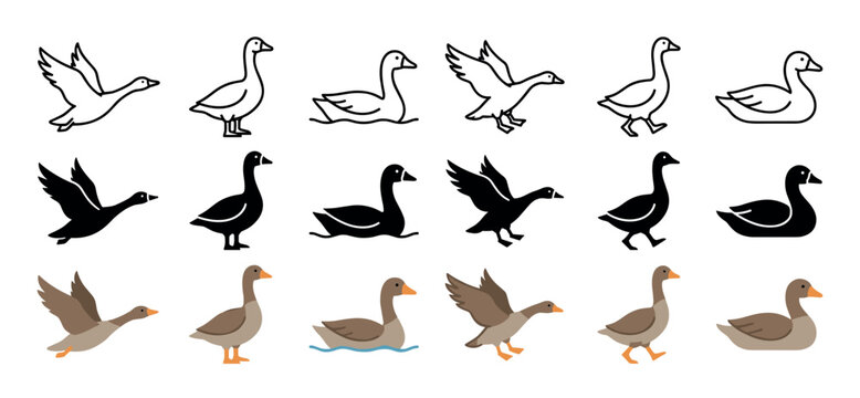Various goose icons in different poses and styles, including flying, walking, and swimming, presented as a versatile vector collection.