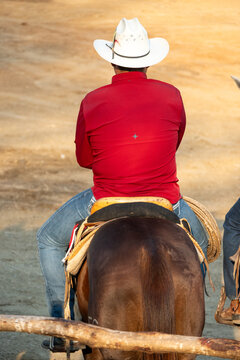 vaquero