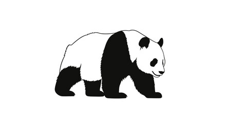 Giant panda walking silhouette black © Kamola