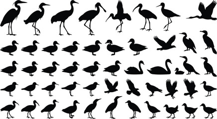 Black and white bird silhouettes collection © RUMA AKTHER