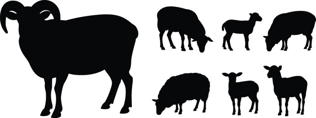 Black Silhouette Collection of a Ram and Several Sheep Grazing and Standing on White Background Keywords: sheep, ram, ewe, lamb, livestock, farm, animal, mammal © QueenMomtaz 