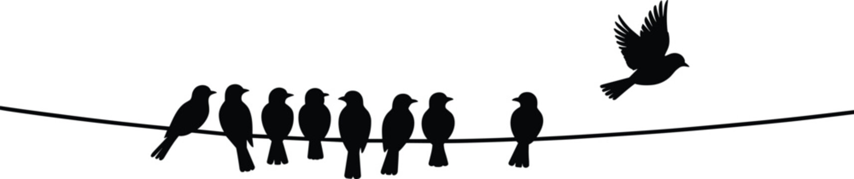Silhouette of Birds on a Wire with One Flying Away cable line