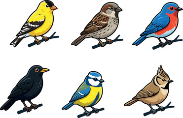Cute Cartoon Wild Bird Set with Goldfinch, Sparrow, Bluebird, Blackbird, Blue Tit, and Crested Lark on Branch Designs © Md Sumon