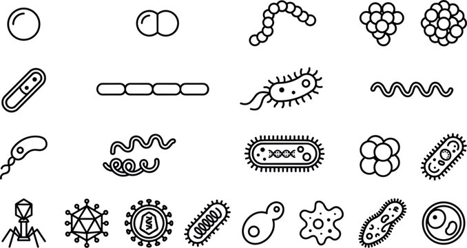 Bacteria and virus cell structure vector icon set featuring line art microflora germs microbes pathogens and bacteriophage