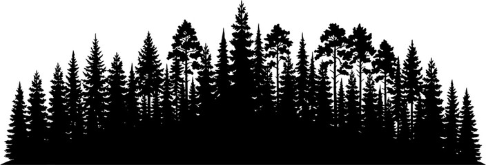 silhouette of a dense forest with tall pine trees on white background © mazadur.design