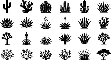 collection of various cactus and succulent plant silhouettes on white background © mazadur.design