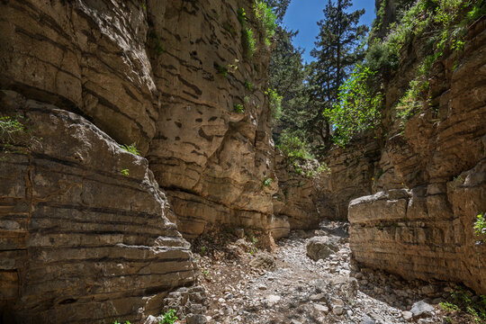Rocky path winding through rugged and lush cliffs along the Imbros Gorge hiking trail in Crete, Greece, on sunny day.
