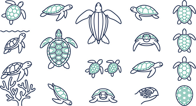Sea turtle vector icon set featuring marine turtles hatchlings carapace patterns coral reef and swimming ocean wildlife illustrations