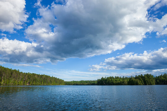 Beautiful blue northern Minnesota lake with pines on the shore and big clouds above