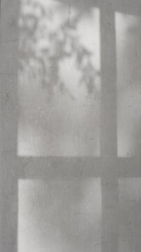 Vertical sharp window grid shadow and plant silhouette swaying on dark grey concrete wall, creating moody raw atmosphere for text background.
