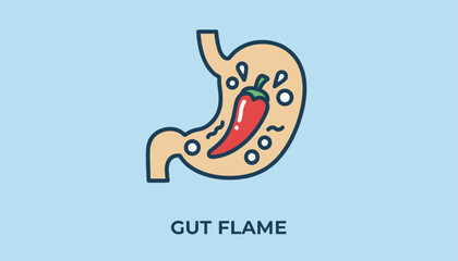 Obraz premium Stomach diagram highlighting digestive issues with a hot red chili pepper symbol representing gut flame or heartburn.