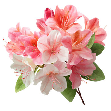 Azalea Bouquet watercolor vector, hand-painted style, high-quality illustration isolated on white background.