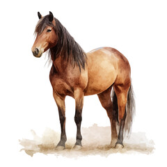 Obraz premium Horse watercolor vector illustration, high-quality artwork isolated on a pure white background.