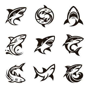 Shark attack logo with dynamic bold silhouette and elegant curves in clean vector artwork